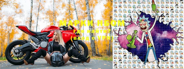 СК Горнозаводск