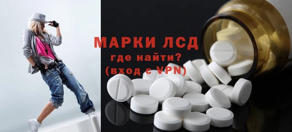 СК Горнозаводск