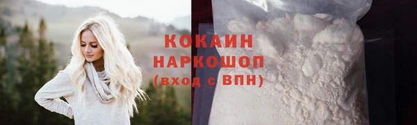спиды Гусев