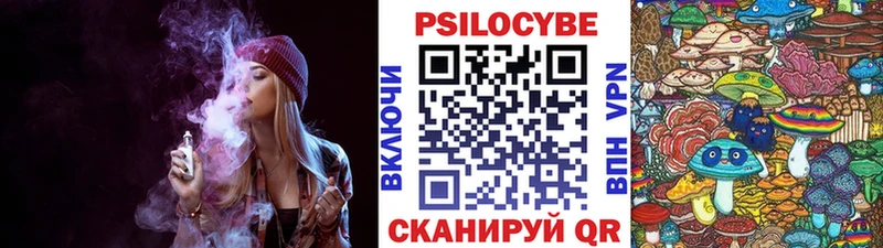 Псилоцибиновые грибы MAGIC MUSHROOMS  купить закладку  Пласт 